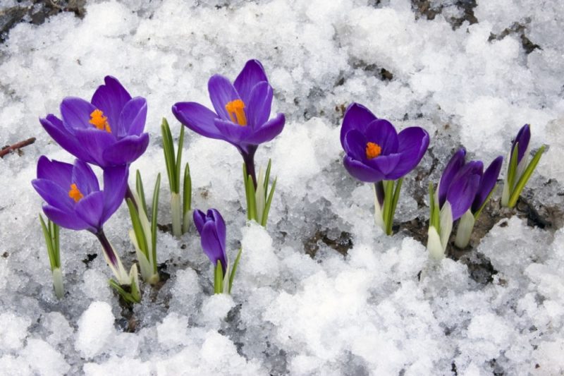 Օդի ջերմաստիճանը զգալի կնվազի, սպասվում է տեղումներ