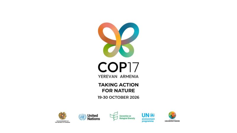 COP17-ի կազմակերպչական ծառայությունների ձեռքբերման համար ՀՀ պետբյուջեում նախատեսվել է 18.5 մլրդ դրամ