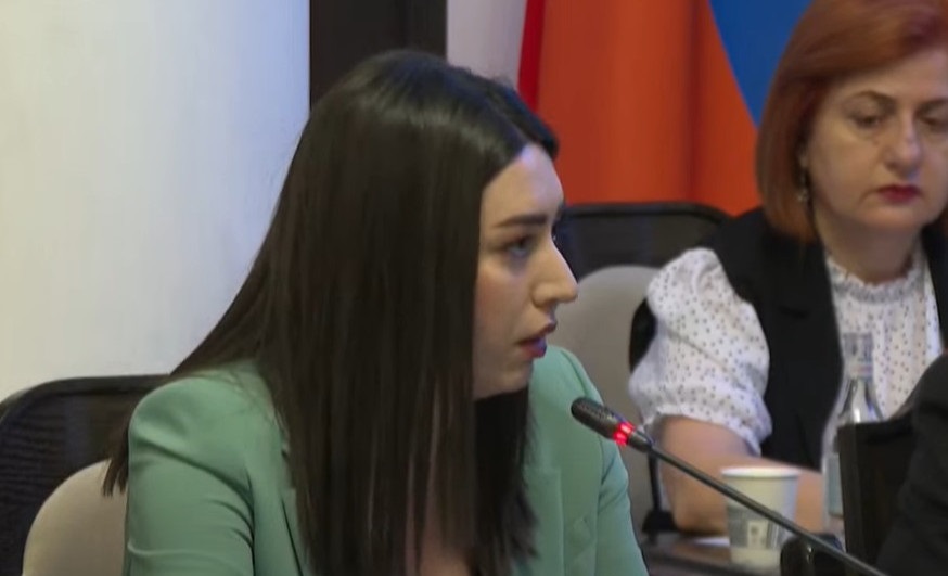 ԼՂ-ից բռնի տեղահանված 9346 անձի շնորհվել է ՀՀ քաղաքացիություն. ՆԳ նախարար
