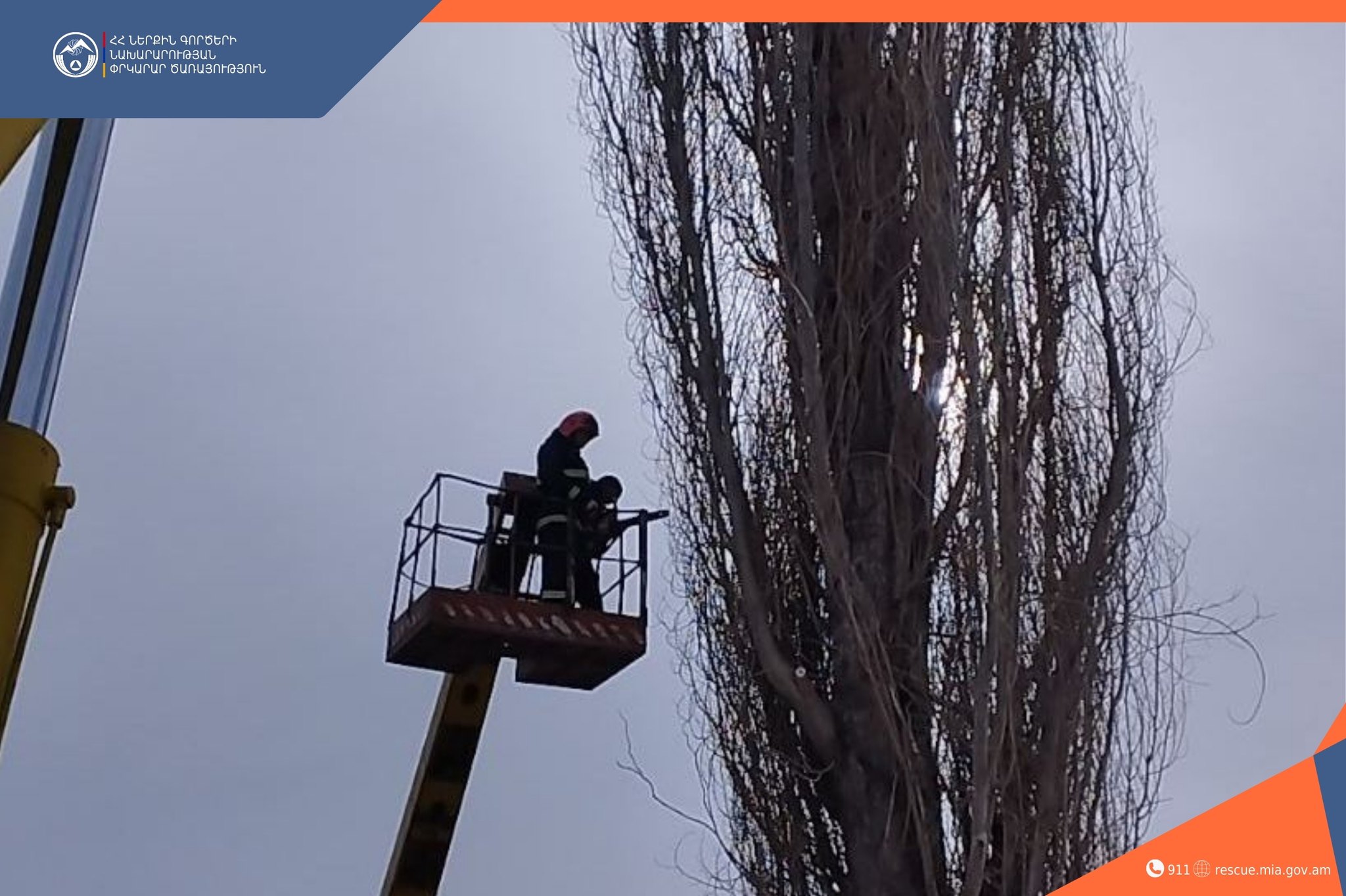 Փրկարարները և համայնքապետարանի աշխատակիցները կտրել են մոտ 30 մետր բարձրության բարդի տեսակի ծառ