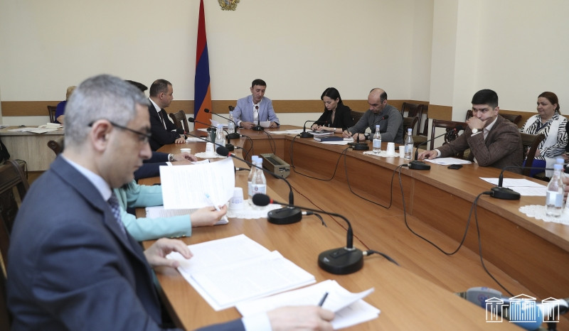 Դեղատների ներկայացուցիչները դիմել են տնտեսական հարցերի մշտական հանձնաժողովին. նիստում հանրագիր է քննարկվել