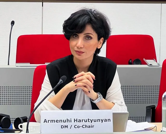 Օրենսդրական նախաձեռնությամբ կկարգավորվեն կուսակցություններին պետական նպատակային ֆինանսավորման տրամադրման հետ կապված հարցեր. Արդարադատության փոխնախարար