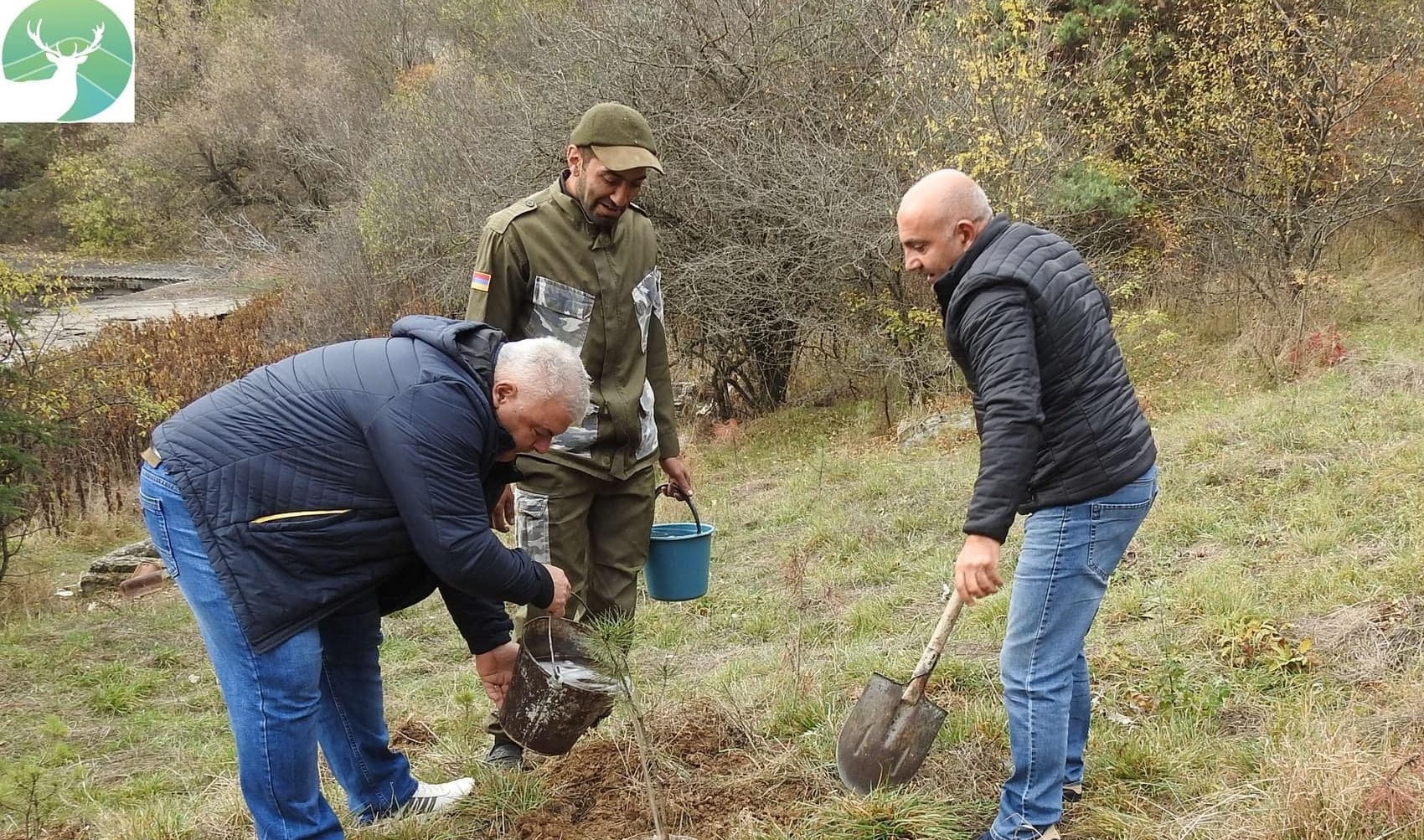 «Դիլիջան» ազգային պարկի աշխատակիցները պարկի տարածքում սոճու տնկիներ են տնկել