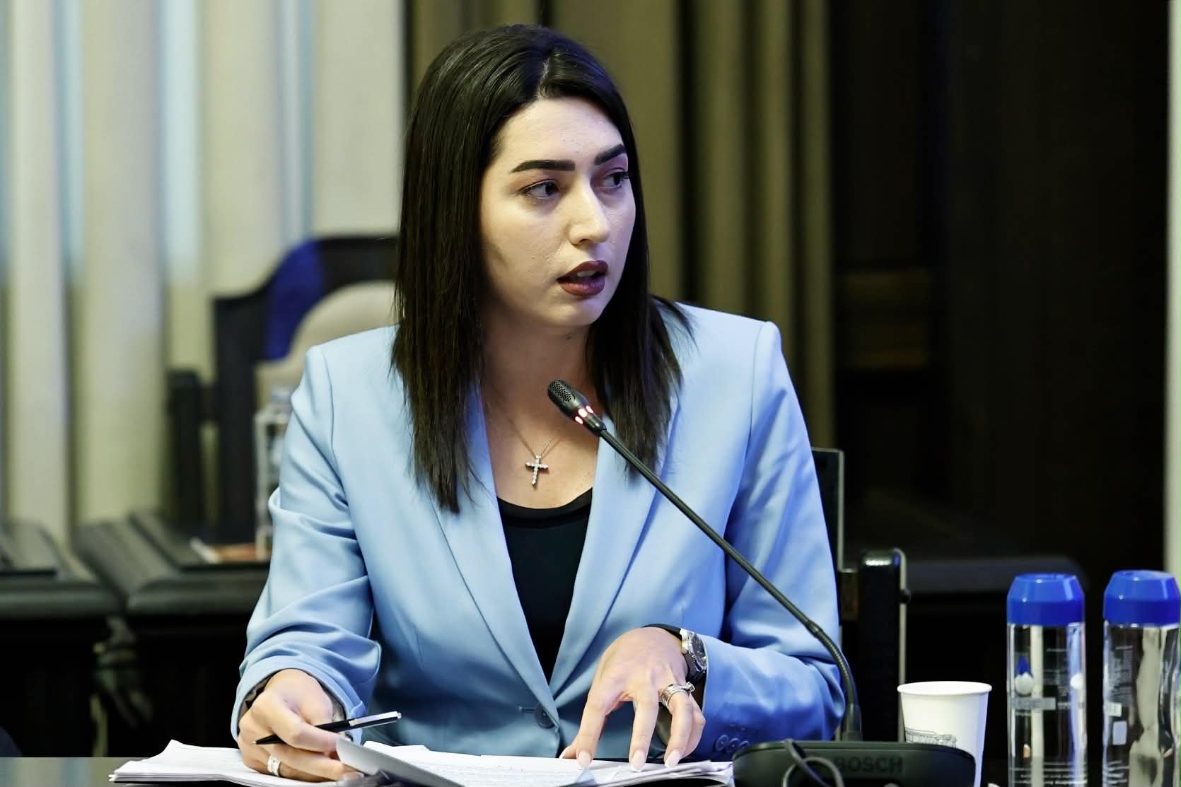 Ընտանեկան բռնության բոլոր դեպքերը դառնալու են հանրային մեղադրանքի առարկա, տուժողի բողոքը պարտադիր չէ. ՆԳ նախարար
