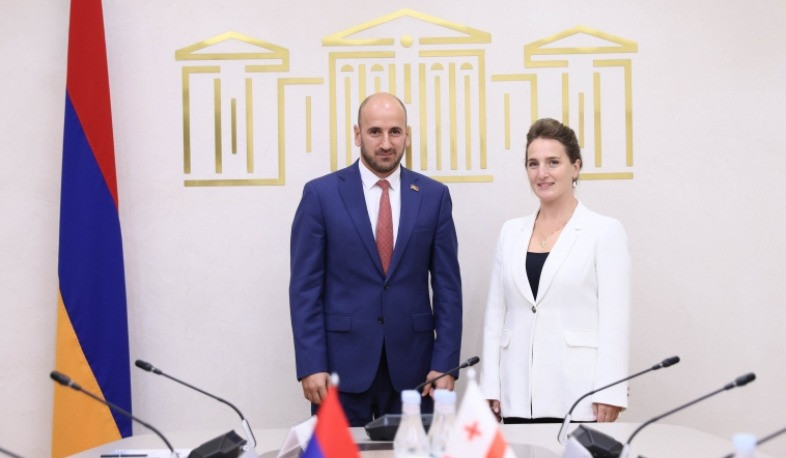 Մենք համագործակցության շատ հզոր հիմքեր ունենք. Վրաստանի խորհրդարանի ներկայացուցիչը՝ Գաբրիելյանին