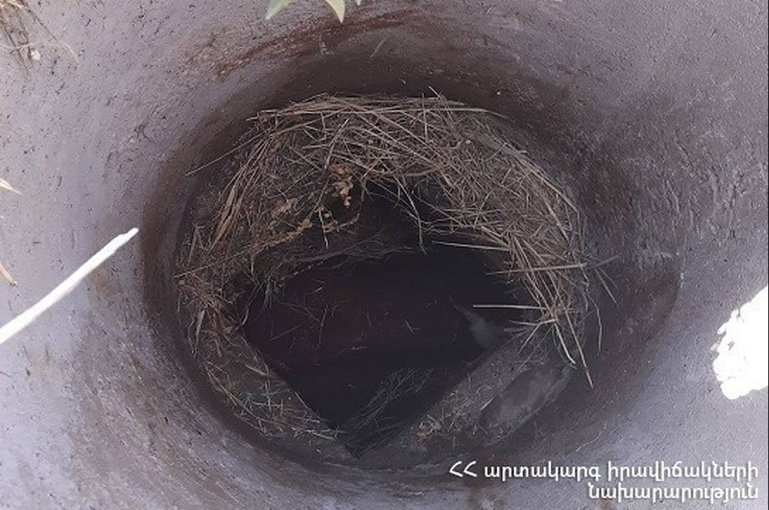 Ցուլն ընկել է ջրհորը․ դեպքի վայր է մեկնել ԱԻՆ ՓԾ մեկ մարտական հաշվարկ