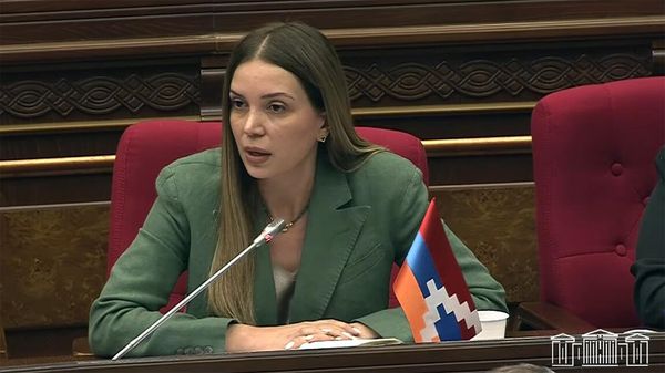 «Ձեր միջի կրքոտ հռետորին մի կողմ դրեք». «Այդ դեպքում Ձեզ էլ պետք ա դնենք մի կողմ». Գրիգորյան-Փաշինյան բանավեճ՝ ԱԺ-ում