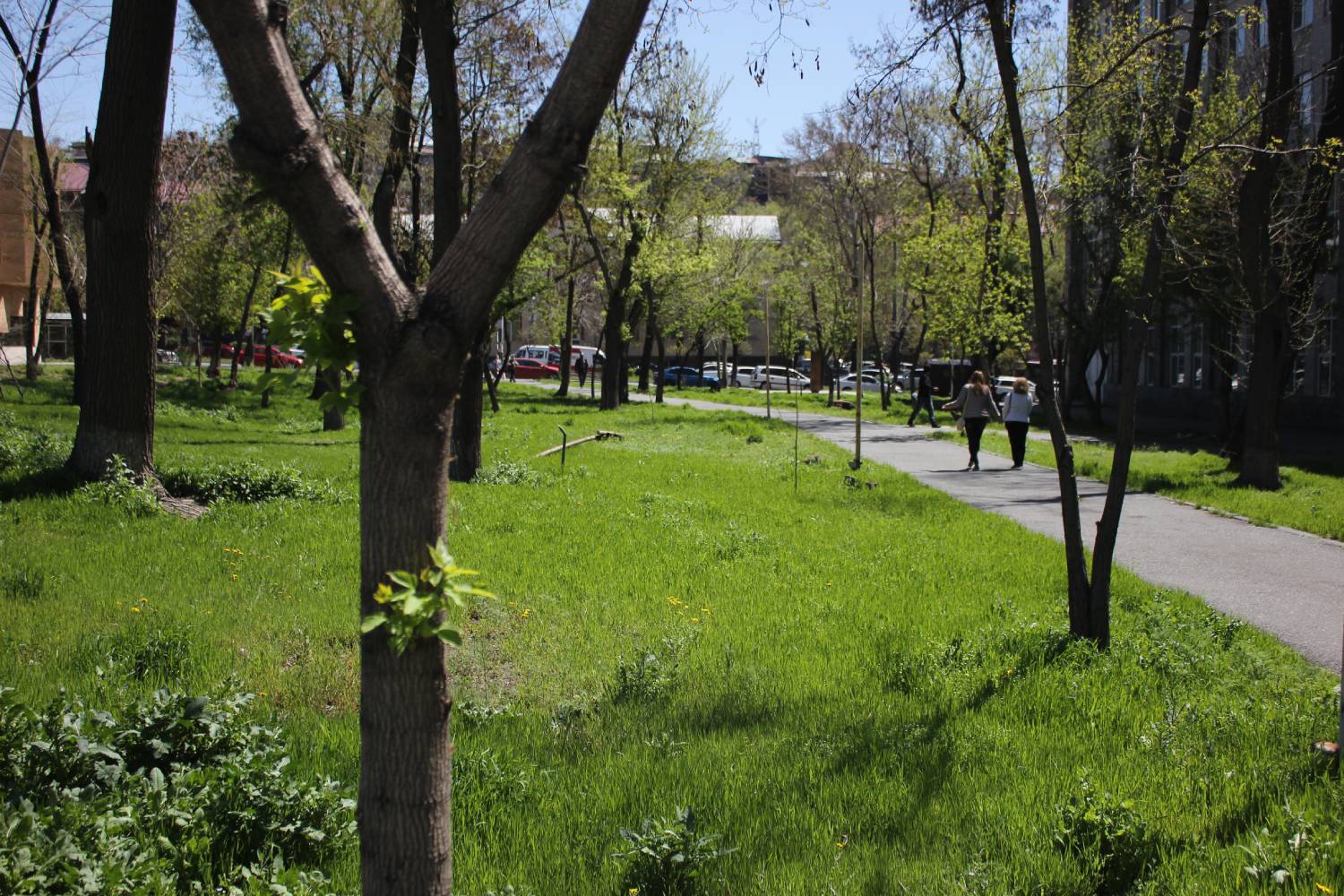 Աբովյան պուրակում կտեղադրվեն նստարաններ, կտրվեն կանաչապատման նոր լուծումներ