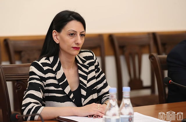Բռնի տեղահանված անձանց իրավունքների պաշտպանությունը ՄԻՊ գրասենյակի աշխատակազմի համար առաջնահերթ ուղղություններից է