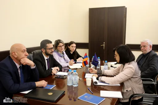 ՀՀ-ԵՄ վիզաների ազատականացման համատեքստում հանդիպումները շարունակվում են