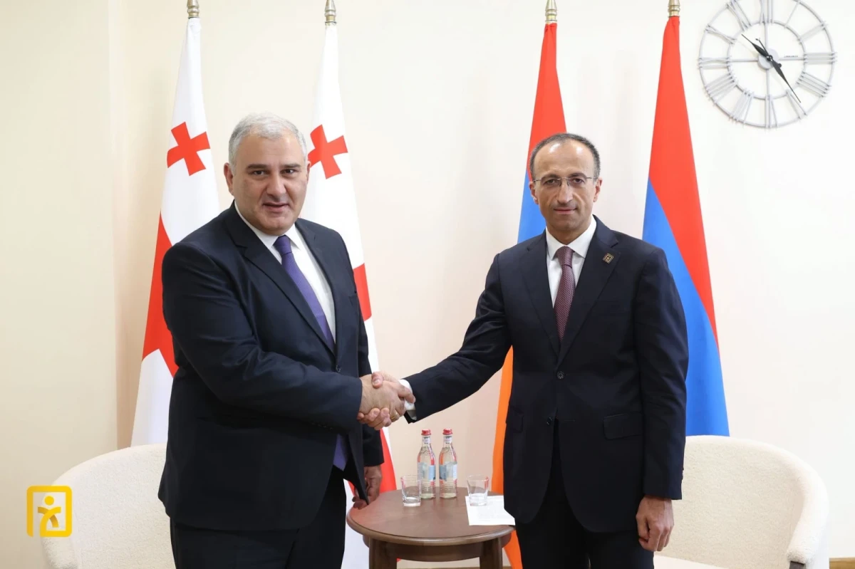 Արսեն Թորոսյանը և Միխեիլ Սարջվելաձեն քննարկել են սոցիալական ծառայությունների թվայնացման ուղղությամբ համագործակցության զարգացման վերաբերյալ հարցեր