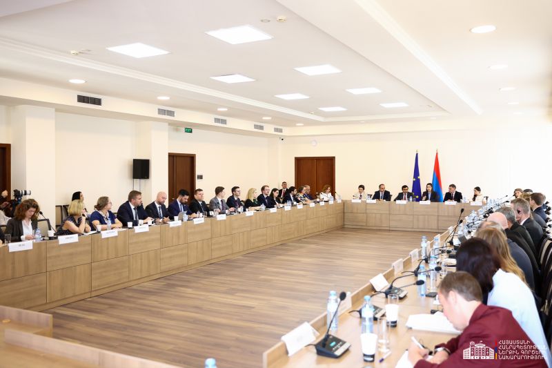 Հայաստանը հաստատակամ է լիարժեք իրականացնել ՀՀ-ԵՄ վիզաների ազատականացման գործողությունների ծրագիրը