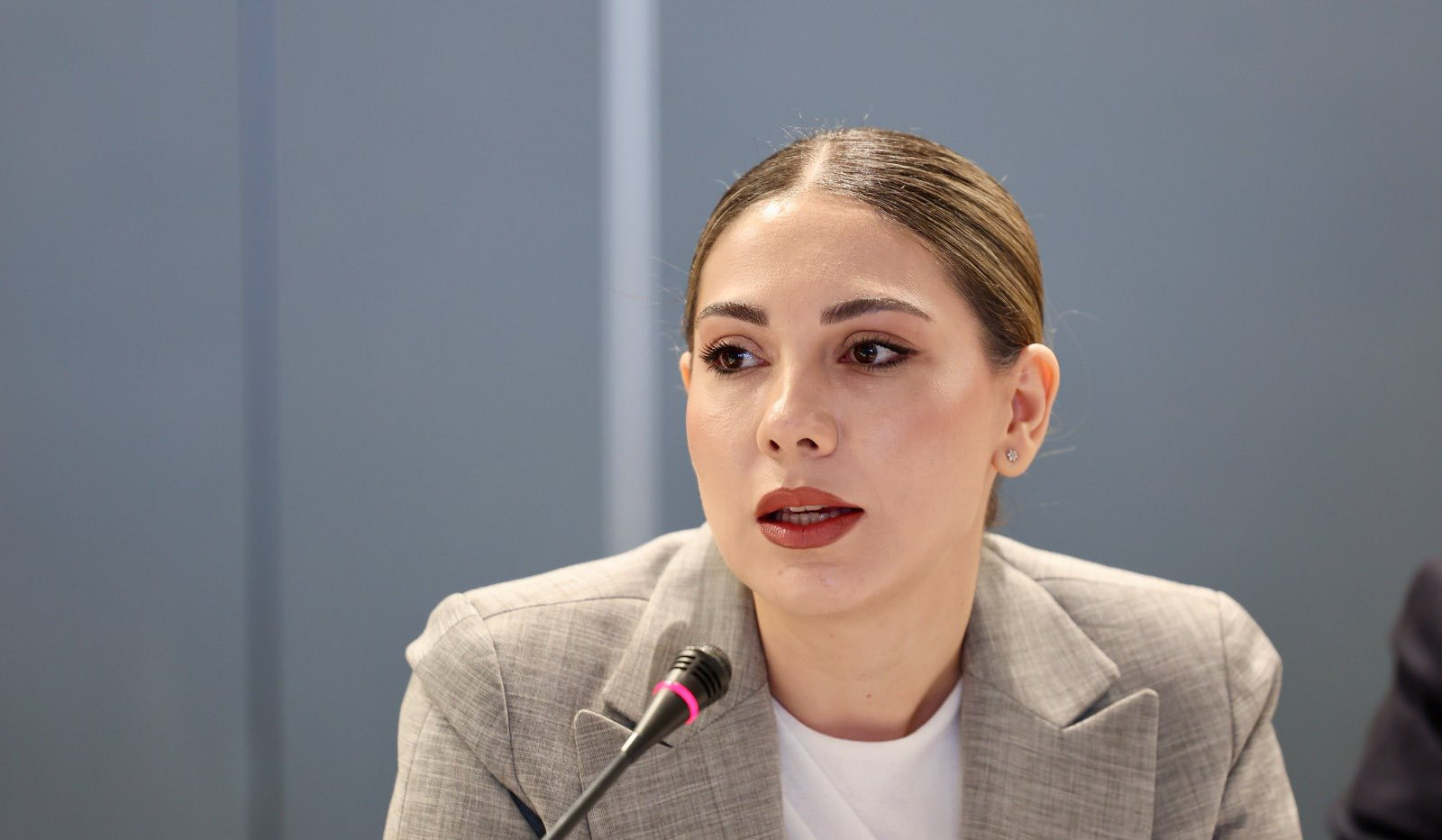Սրբուհի Գալյանը ներկայացրել է արդարադատության նախարարության համակարգմամբ իրականացված առանցքային բարեփոխումները