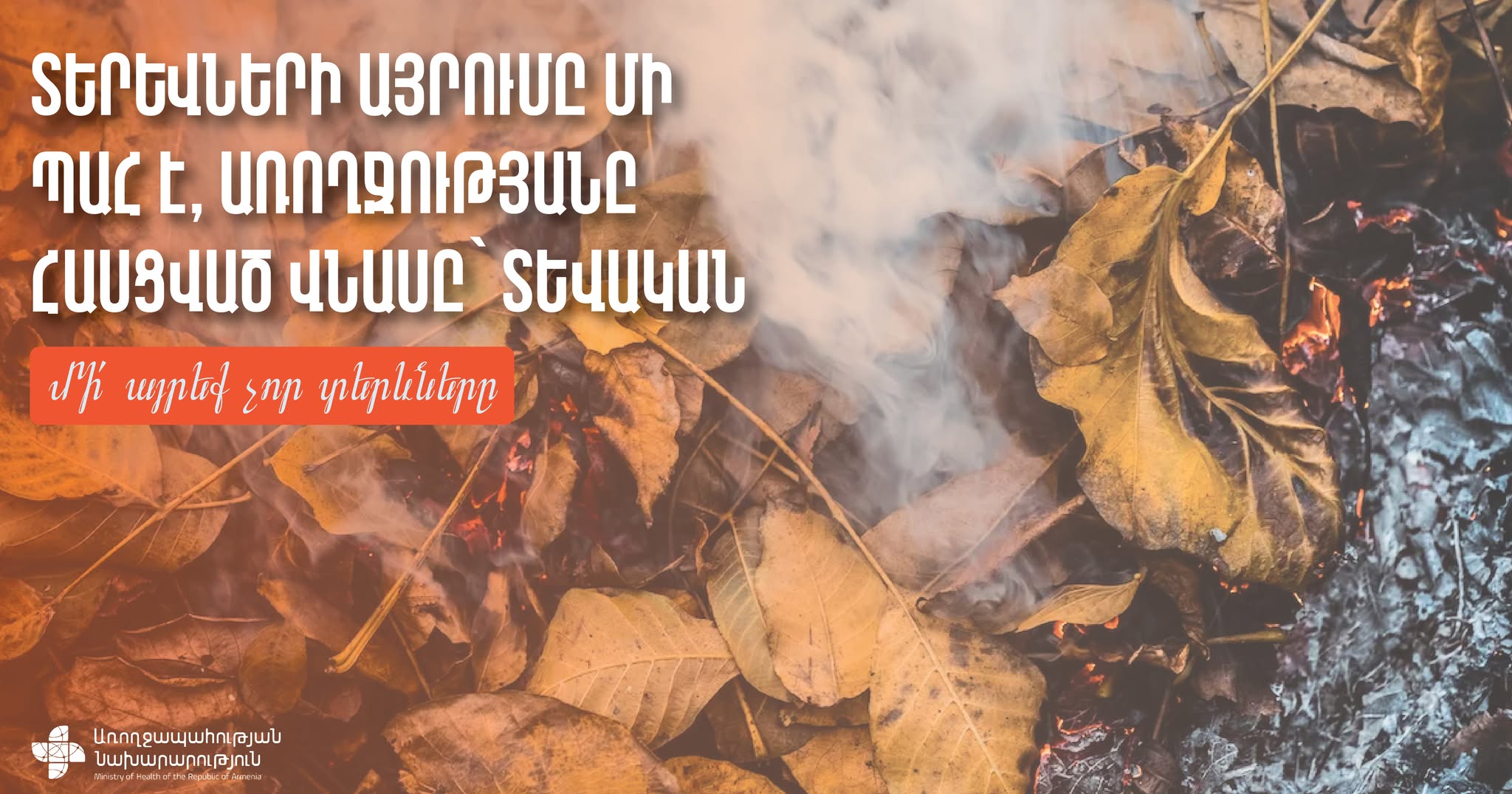 ԱՆ-ն հորդորում է չայրել չոր տերևները