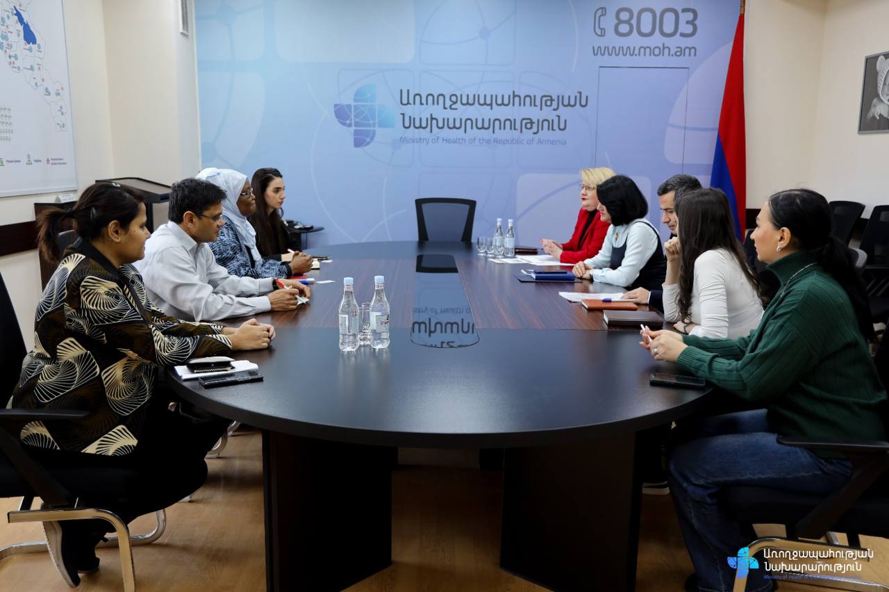 ԱՆ տեղակալը հանդիպել է «Բժիշկներ առանց սահմանների» կազմակերպության պատվիրակության հետ