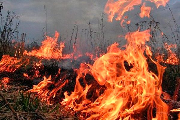 Հացավան գյուղի վերջնամասում այրվել է մոտ 15 հա բուսածածկույթ