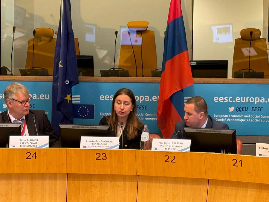 Միջազգային գործընկերների սկզբունքային դիրքորոշման պարագայում հնարավոր է հասնել Ադրբեջանի հետ խաղաղության պայմանագրի ստորագրմանը. Բալայան