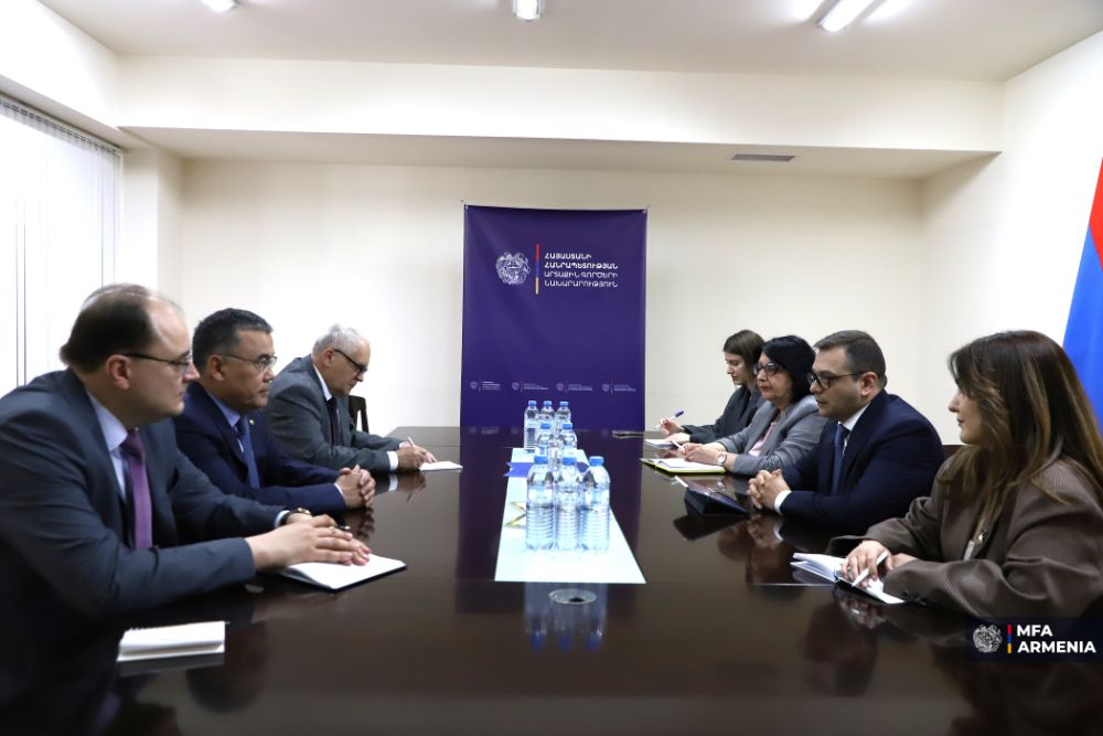 ԱԳՆ տեղակալը հանդիպել է ԱՊՀ դիտորդական առաքելության ղեկավարի հետ