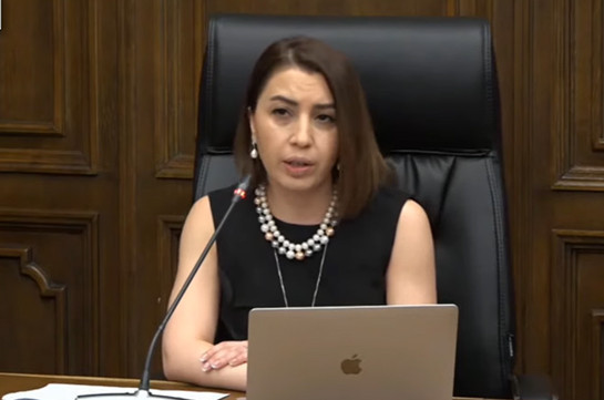 ՄԱԿ-ի մարդու իրավունքների խորհրդին կոչ եմ արել փաստահավաք առաքելություն ուղարկել Լաչինի միջանցք. ՀՀ ՄԻՊ