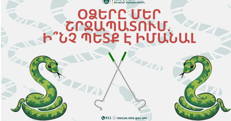 Ինչ պետք է անել օձի կծելու դեպքում