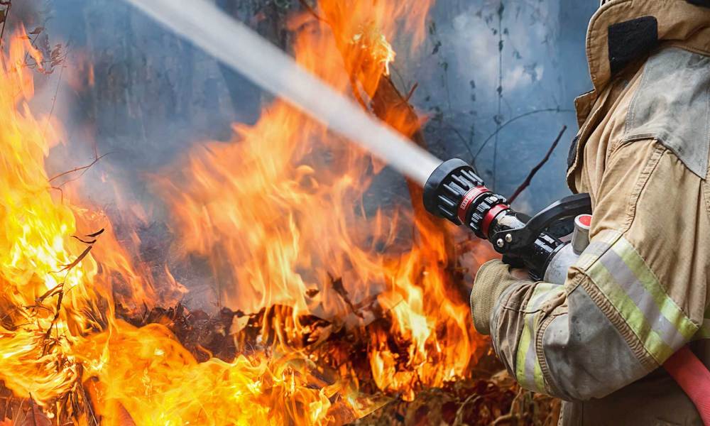 Գավառի նախկին օդանավակայանի մոտ 1500 հակ անասնակեր է այրվել