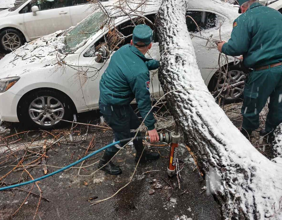 Աբովյան փողոցի և Սայաթ-Նովայի պողոտայի խաչմերուկում ծառի կոտրվելու հետևանքով երեք մեքենա է վնասվել․ մանրամասներ