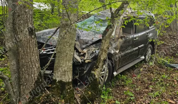 Սյունիքի մարզում 20-ամյա վարորդը «Mitsubishi Pajero»-ով դուրս է եկել ճանապարհի երթևեկելի գոտուց, բախվել ծառերին, գլխիվայր շրջվել. կա 4 վիրավոր