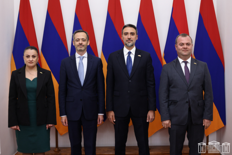 Վարդևանյանը Ֆրանսիայի դեսպանին ներկայացրել է իր դիտարկումները ԵԽԽՎ զեկույցի ու հետընտրական գործընթացների վերաբերյալ