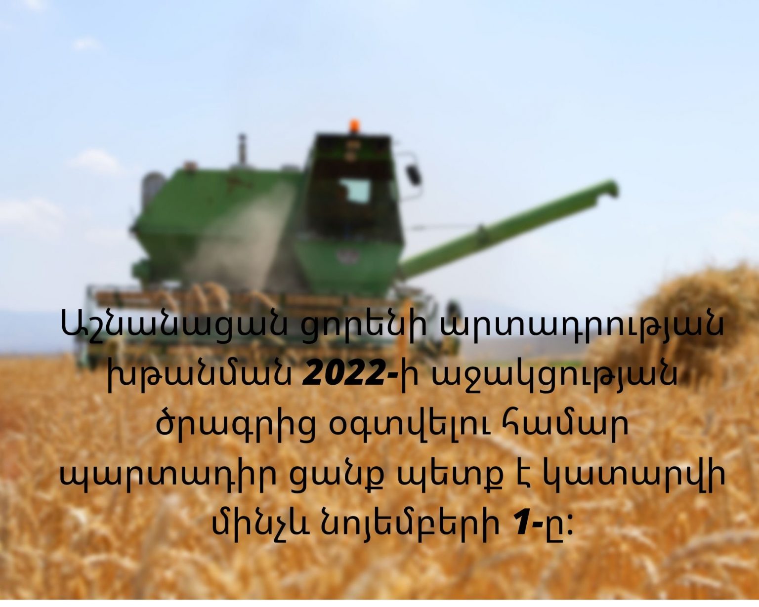 Կառավարությունը հաստատել է աշնանացան ցորենի արտադրության խթանման 2022 թվականի աջակցության ծրագիրը