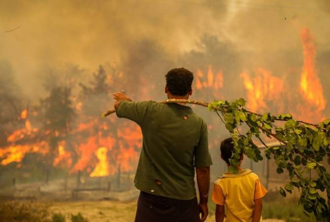 Թուրքիայում բռնկված անտառային խոշոր հրդեհի հետևանքով ձիթենիներ են վնասվել