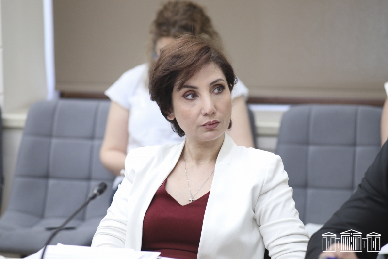Նախագծով առաջարկվում է ԼՂ կենսաթոշակային ֆոնդում ձևավորված կենսաթոշակային հնարավորությունները տեղափոխել ՀՀ-ում գործող կենսաթոշակային ֆոնդեր
