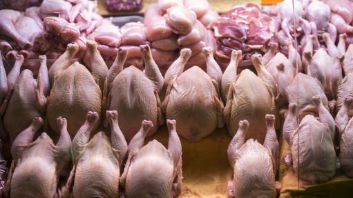 Հայաստանում թունավորումների 70 տոկոսի դեպքում օգտագործված սննդամթերքը եղել է հավի միսը. ՍԱՏՄ