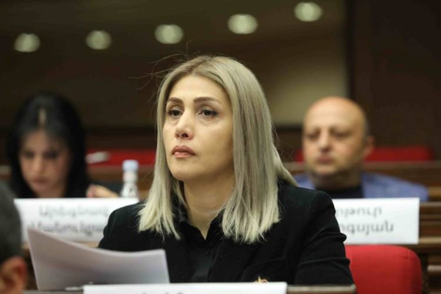 Այս իշխանությունն իր նպատակներն իրականացնելու համար կարող է օրվա հացից կտրել սովորական քաղաքացիներին. Վարդանյան