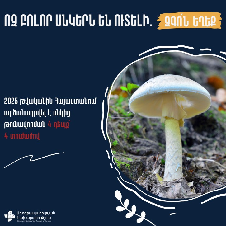 Ոչ բոլոր սնկերն են ուտելի, զգոն եղեք. Առողջապահության նախարարություն