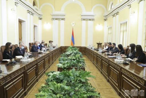 Ռուբինյանը հանդիպել է ԵԽ նախարարների կոմիտեի ժողովրդավարության հարցերով զեկուցողներին