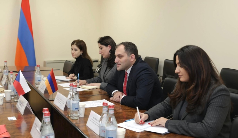ԲՏԱ փոխնախարարն ու Չեխիայի Պաշտպանական քաղաքականության վարչության պետը քննարկել են համագործակցության հնարավոր ուղղությունները